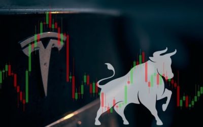 Bulls Roll out Big Bets as Tesla Delivers on Semi Truck